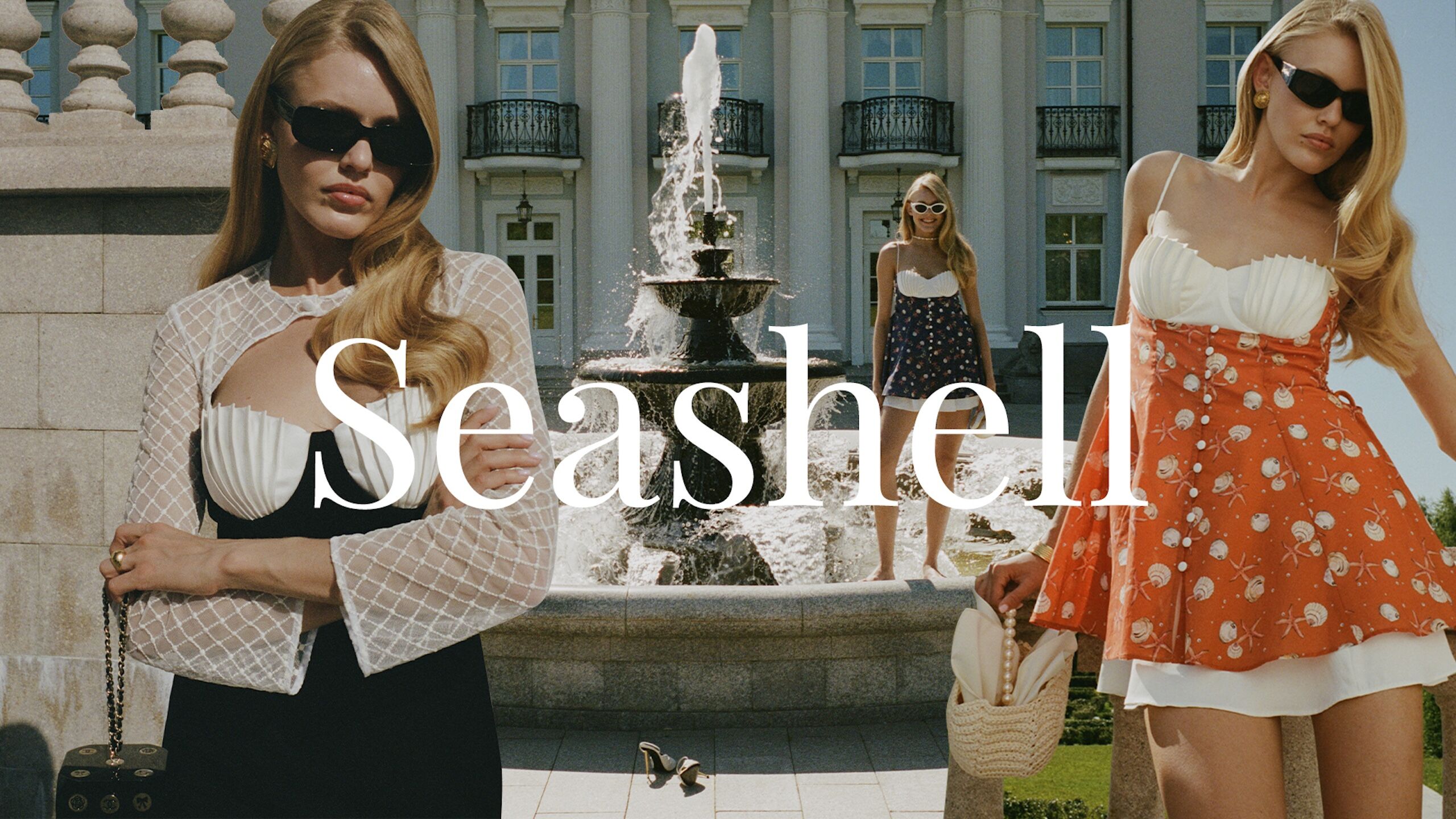 SEASHELL 1